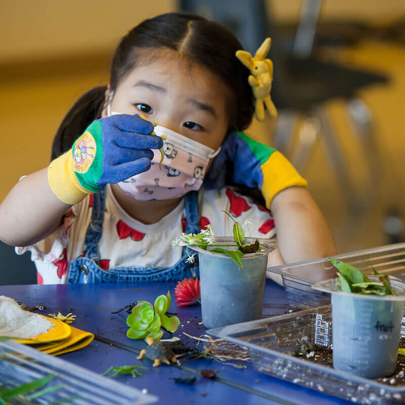 A little girl at a table planting seedlings at Wonderlab Science Museum Bloomington
