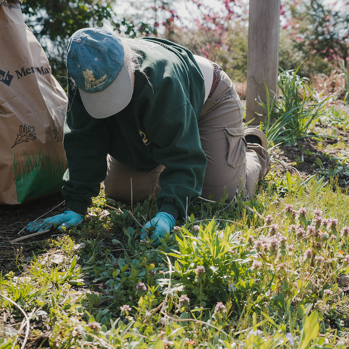 A volunteer at Wonderlab Bloomington is on the ground pulling weeds