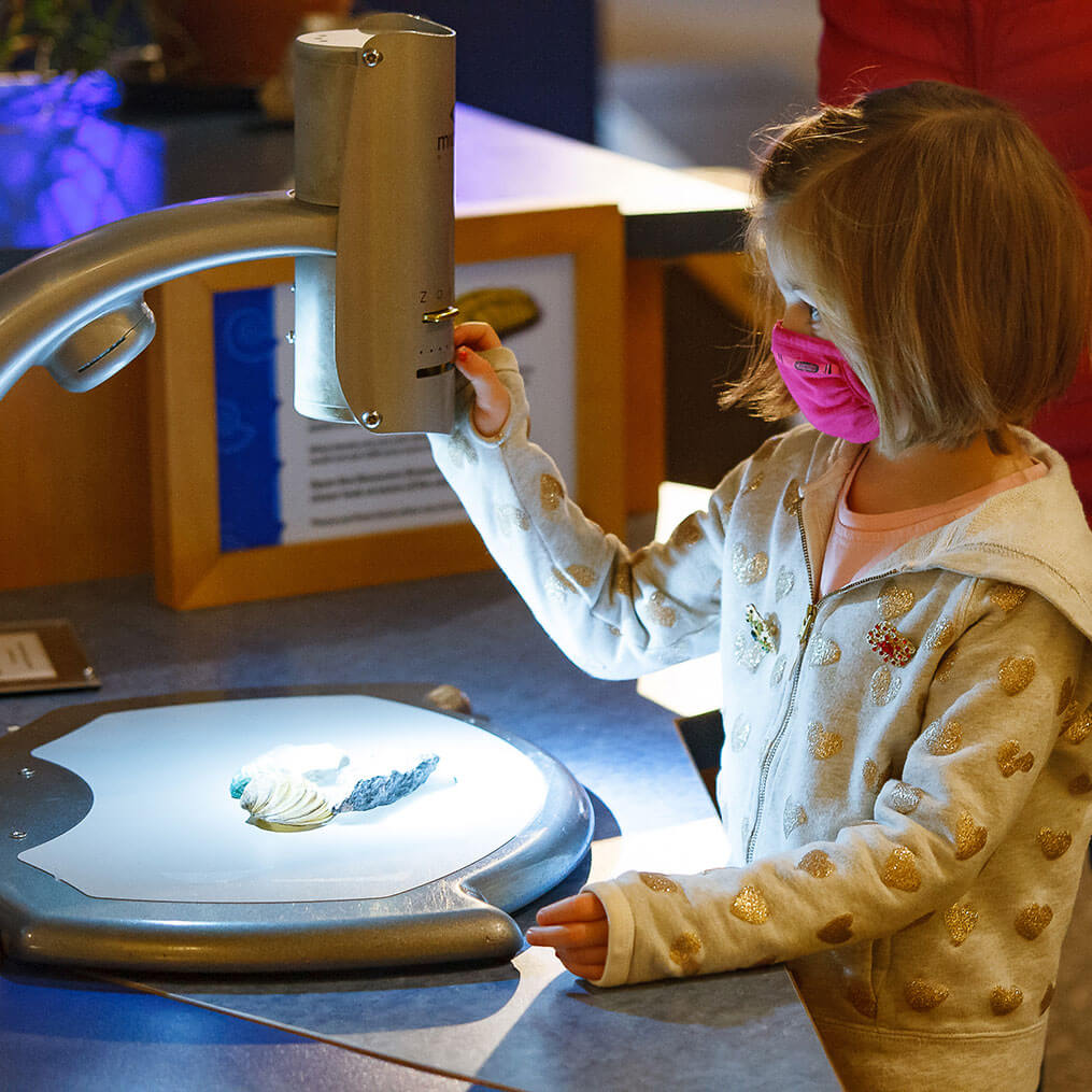 A child wearing a mask makes an observation through the MicroEye exhibit at Wonderlab in Bloomington