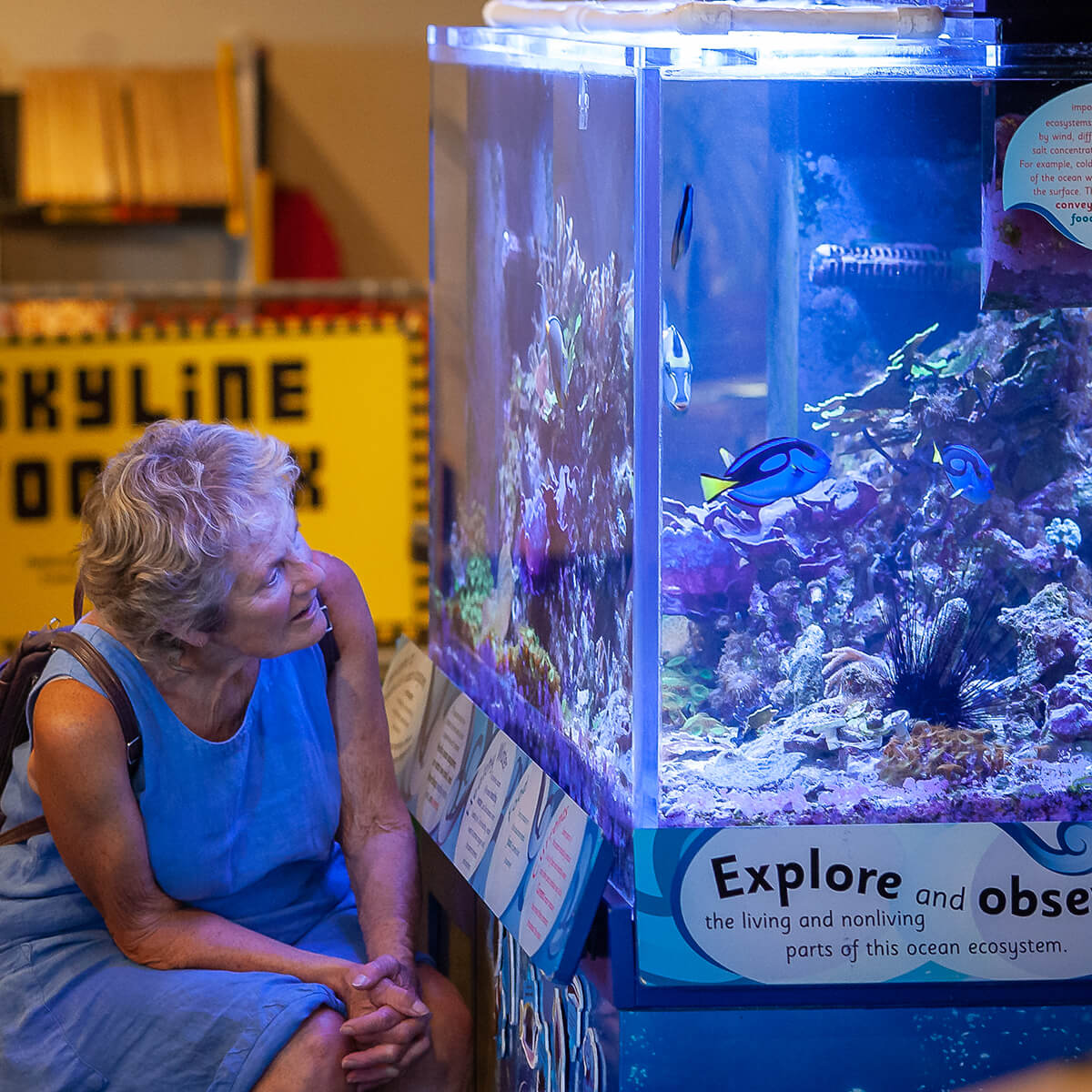 A lady is seated while she observes the coral reef aquarium, one of Wonderlab's exhibits