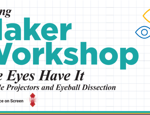 Spring Maker Workshop: The Eyes Have It